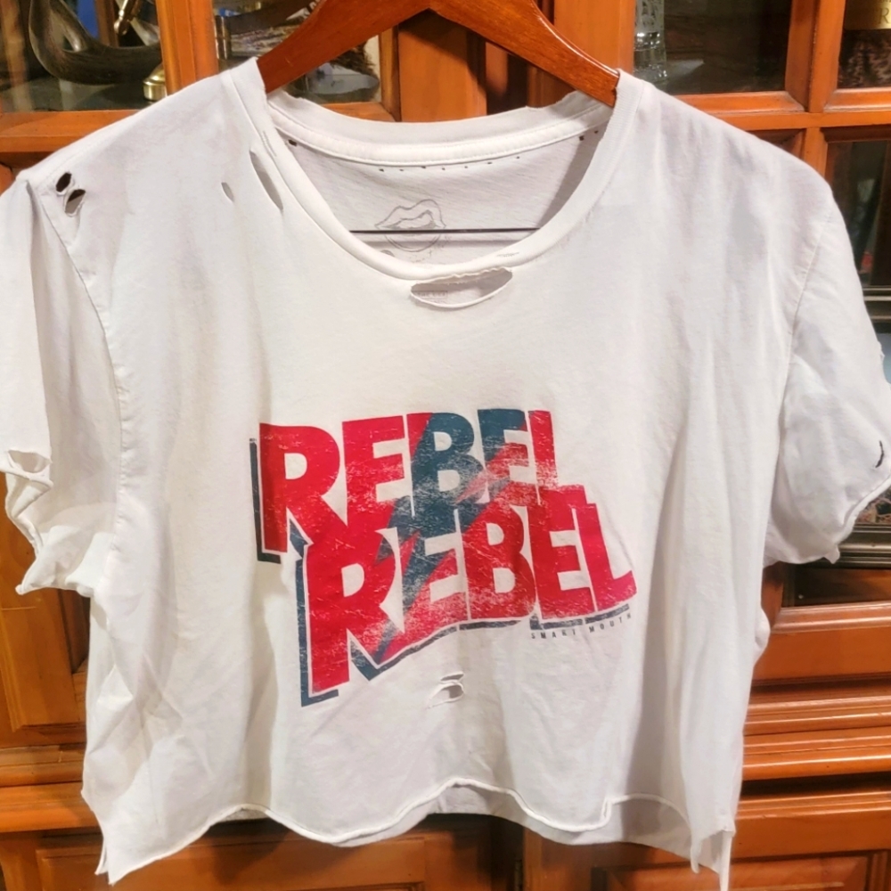 Rebel Rebel -- Hand cropped tee and destroyed throughout! NWOT TheSoftShirt.
